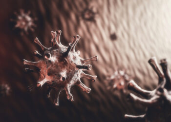 apoptose